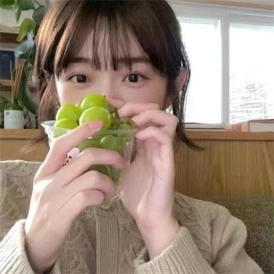 鬣狗式生存日版